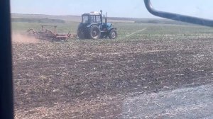 Сев суданской травы