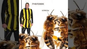 Пчеловек