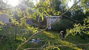 Дом своими руками. Пол из фанеры. Основание под очаг.