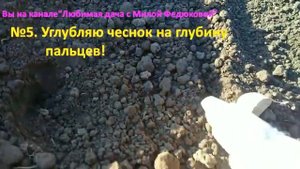 Посадка чеснока осенью - легко и  просто! Секреты отлич