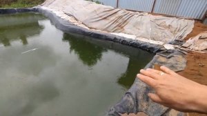 Пруд своими руками на 10 сотках : от котлована до готово