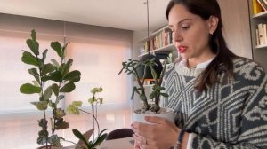 РАСТЕНИЯ В ИНТЕРЬЕРЕ квартиры и дома. Главные принцип?