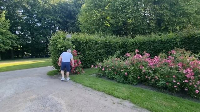 Розы пропали/ещё одна с дипломами/ трагедия с человеко смотреть онлайн