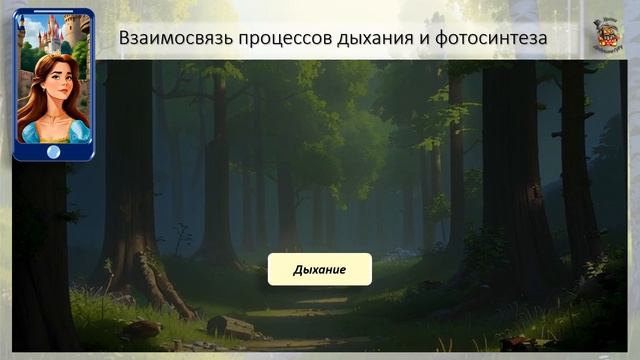 Б6 20 Дыхание растений смотреть онлайн