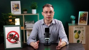 МЕДВЕДКА: 3 ЭФФЕКТИВНЫХ СПОСОБА БЕЗ ХИМИИ! ТОП РАБОЧИХ