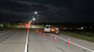 Один человек погиб в ДТП с лошадью в Приморье