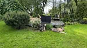 Райский сад душевный сад! Прогулка по гармоничному ла?