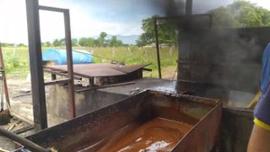 Тростниковый (настоящий) сахар и его производство в ве