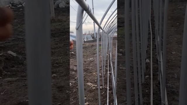 Бишкек отопление теплица бишкек 0777320232 0705723491 смотреть онлайн