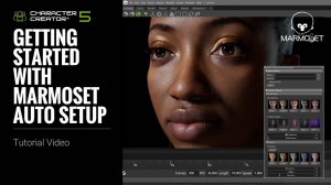 Начало работы с Marmoset Auto Setup | Быстрый перенос персонажей из Character Creator 5 в Toolbag