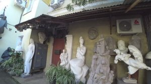 Бабочки в моей голове