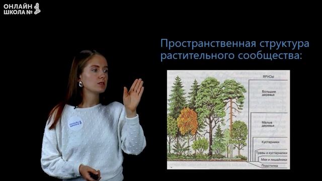 Растительные сообщества. Видеоурок 33. Биология 6 класс смотреть онлайн