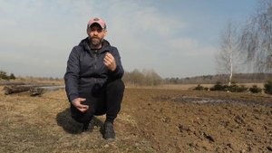 СЕВООБОРОТ ОЧЕНЬ ВАЖЕН. Что лучше посеять перед карто?