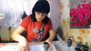 Осеннее черенкование Корейской хризантемы