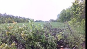 Посевная весной