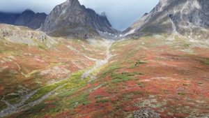 Kodar Ridge Chara Sands 2026