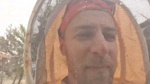 ПЧЁЛЫ УБИЙЦЫ