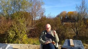 Пчеловодство Советское, продукты пчеловодства, мёд, в?