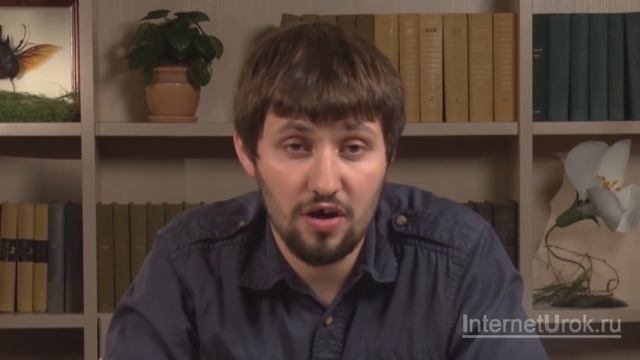 Плауны и хвощи. Видеоурок по биологии 5 класс смотреть онлайн