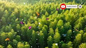 Свекровь приехала на мою дачу и выгнала моего сыночка