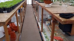 Хитрости, тонкости при работе с цветами в теплице, с ни