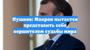 Пушков: Макрон пытается представить себя вершителем судьбы мира