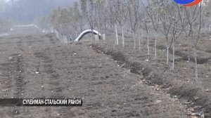 В Сулейман-Стальском районе идет закладка яблоневого