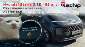 Отключение мочевины Staria Hyundai 2.2 дизель Rechip, Речип Челябинск