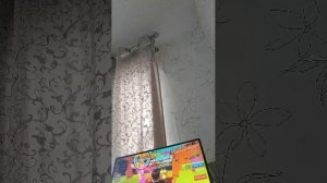 Играю в эволюцию брейнрот