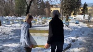 ВЫСТАВКА ПЧЕЛ ФНЦ ПЧЕЛОВОДСТВА