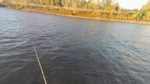 Окуневая🐟 сорокаминутная раздача на телспиннеры 🎣