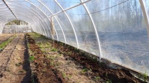 Подготовка грядок в теплице без перекапывания. Чем бе?