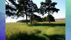 Целинный район Алтайского края