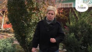 ЧТО МОЖНО ПОСЕЯТЬ ПОД ЗИМУ И КАК ПРАВИЛЬНО ЭТО СДЕЛАТЬ