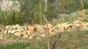 Павловния техсрез обязательно или нет Херсонская Мар?