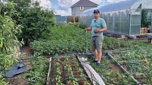 Капельный полив на высокие грядки - несколько схем!