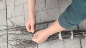 Бюджетная ИДЕЯ для украшения сада и дачи ИЗ ВЕТОК | Сад