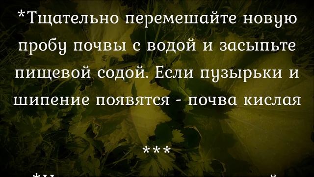 Тестирование почвы.Самостоятельно и очень просто💯Тр смотреть онлайн