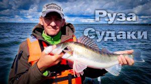 Руза. Судаки.