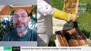 Пчелы облепили автомобиль в Балашихе - Москва 24