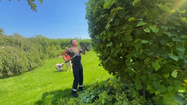 КАК СФОРМИРОВАТЬ ШАР ИЗ ДЕРЕВА смотреть онлайн