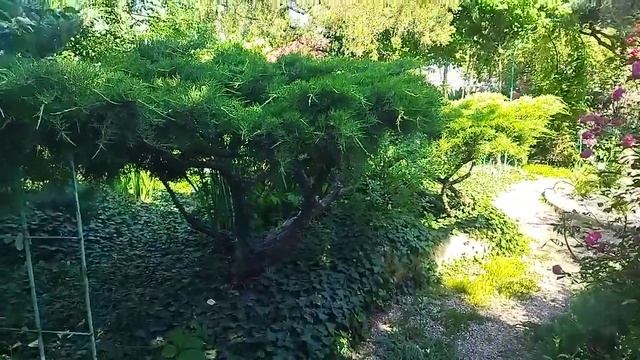 В саду у мамочки. Степной Крым 04.06.25г смотреть онлайн