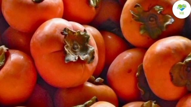 ХУРМУ едят многие, но 95% даже не знают, что ТВОРИТ ХУРМА смотреть онлайн