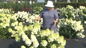 Дачные Советы с Галиной Старосельцевой новый выпуск о