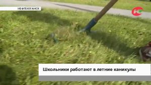 В Нефтеюганске косить траву собираются школьники
