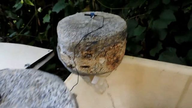 Условия для выращивания Вёшенки смотреть онлайн