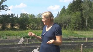 Ферма Виноградных улиток - Как выращивать улиток