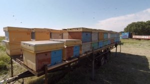 Прицеп платформа обзор и разница для пчёл и принцип пл