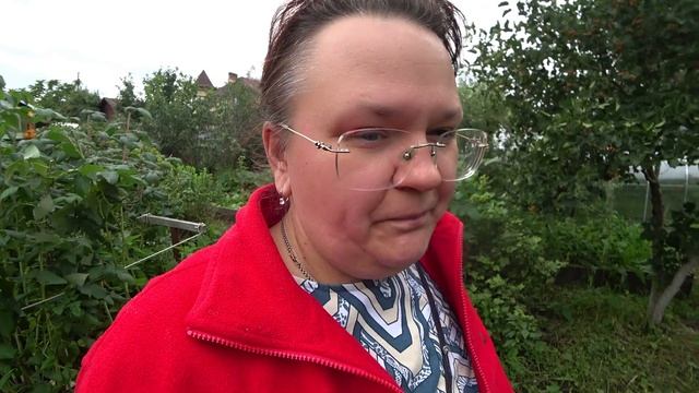 Готовим грядки для садовой земляники смотреть онлайн