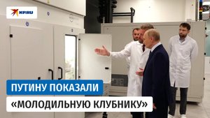 Учёные «Сириуса» представили Владимиру Путину «молодильную клубнику»
